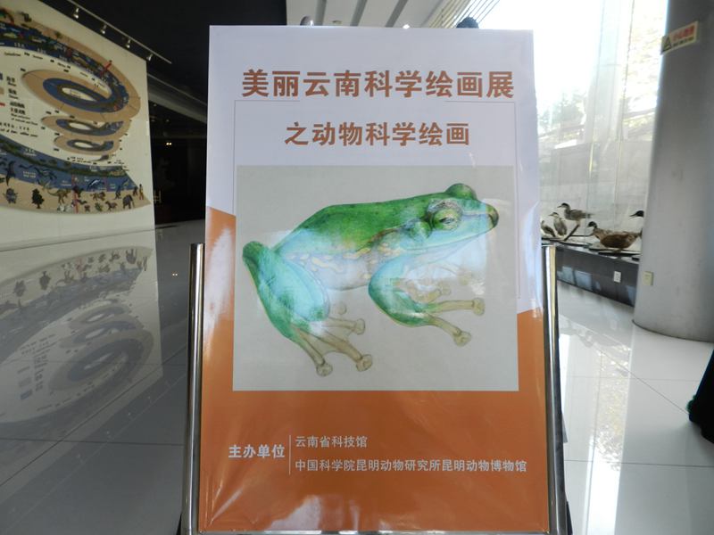 电子游戏app下载安装