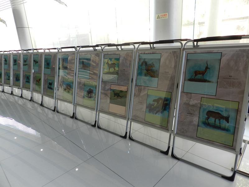 电子游戏app下载安装