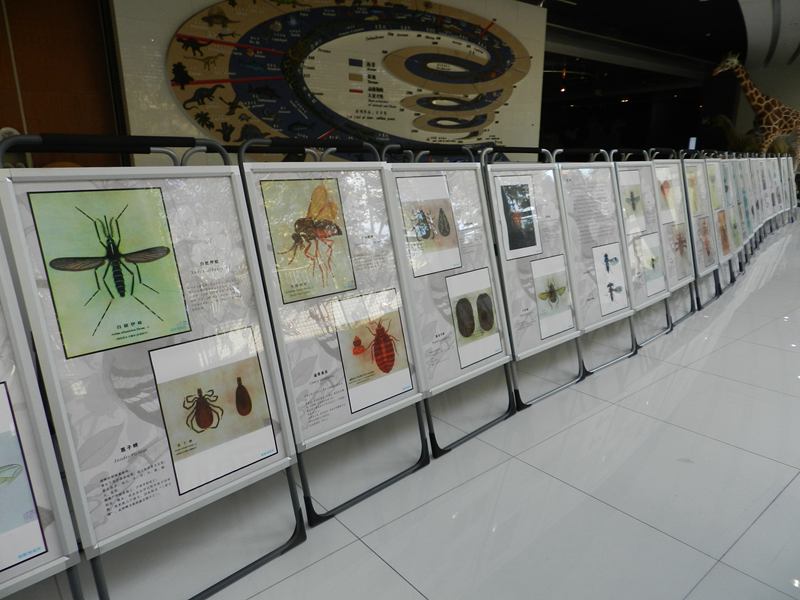 电子游戏app下载安装