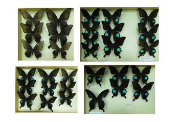 电子游戏app下载安装