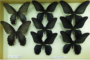 电子游戏app下载安装