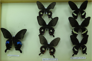 电子游戏app下载安装