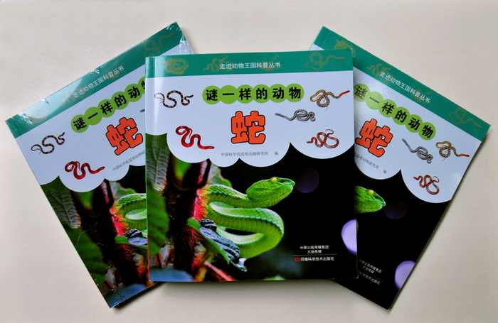 电子游戏app下载安装