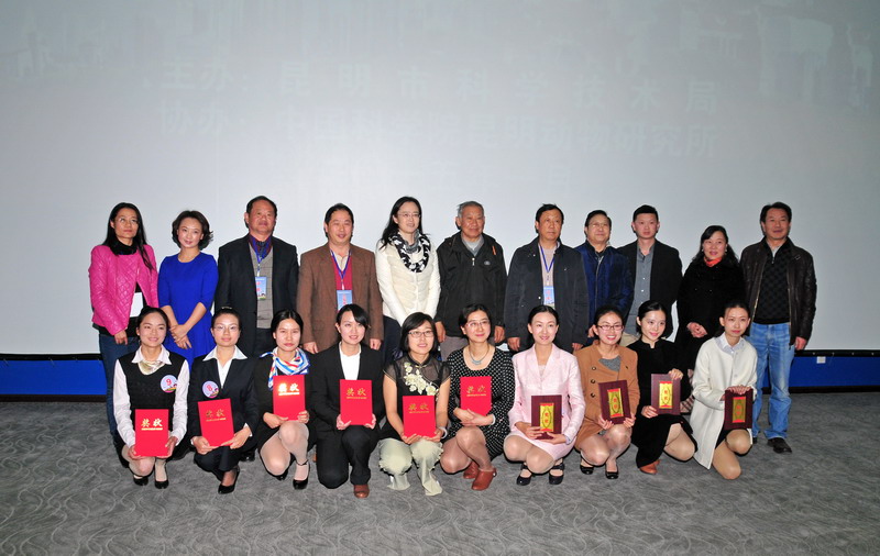 电子游戏app下载安装