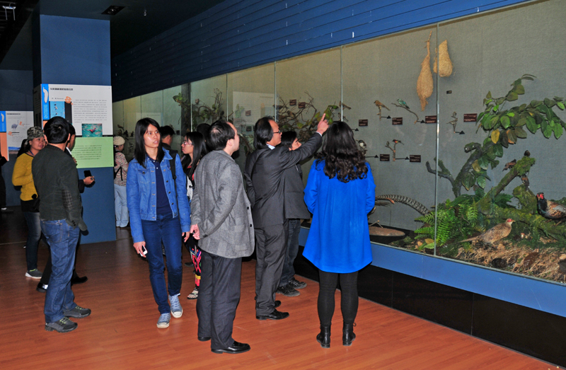 电子游戏app下载安装