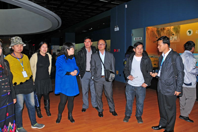 电子游戏app下载安装