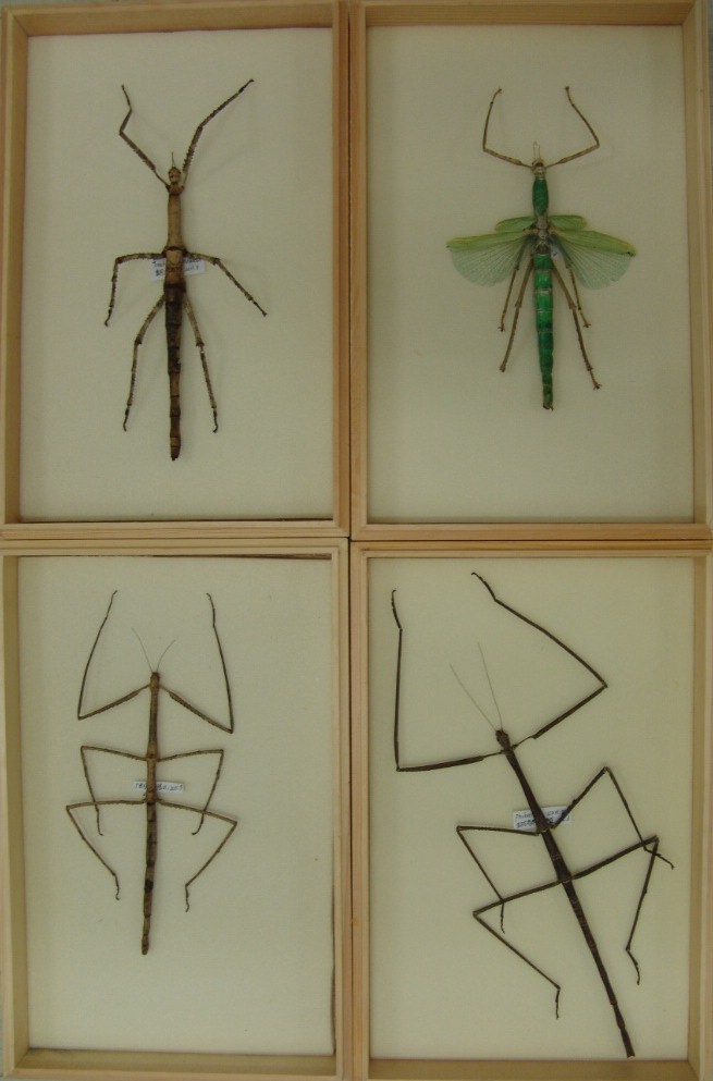 电子游戏app下载安装