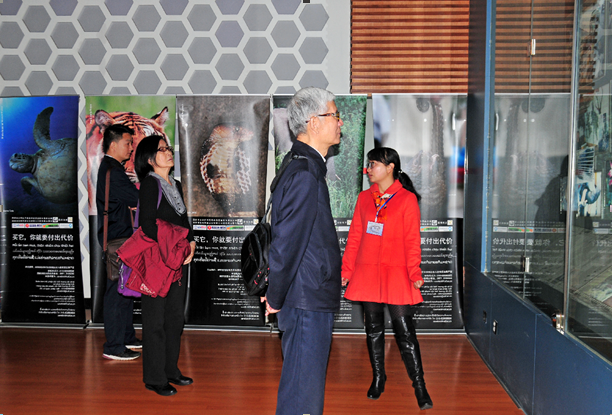 电子游戏app下载安装