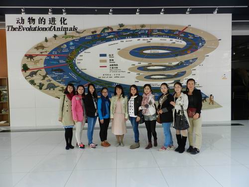 电子游戏app下载安装