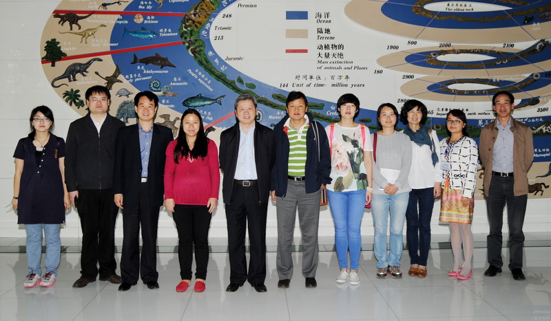 电子游戏app下载安装