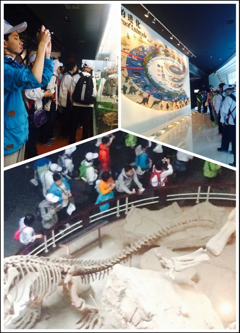 电子游戏app下载安装