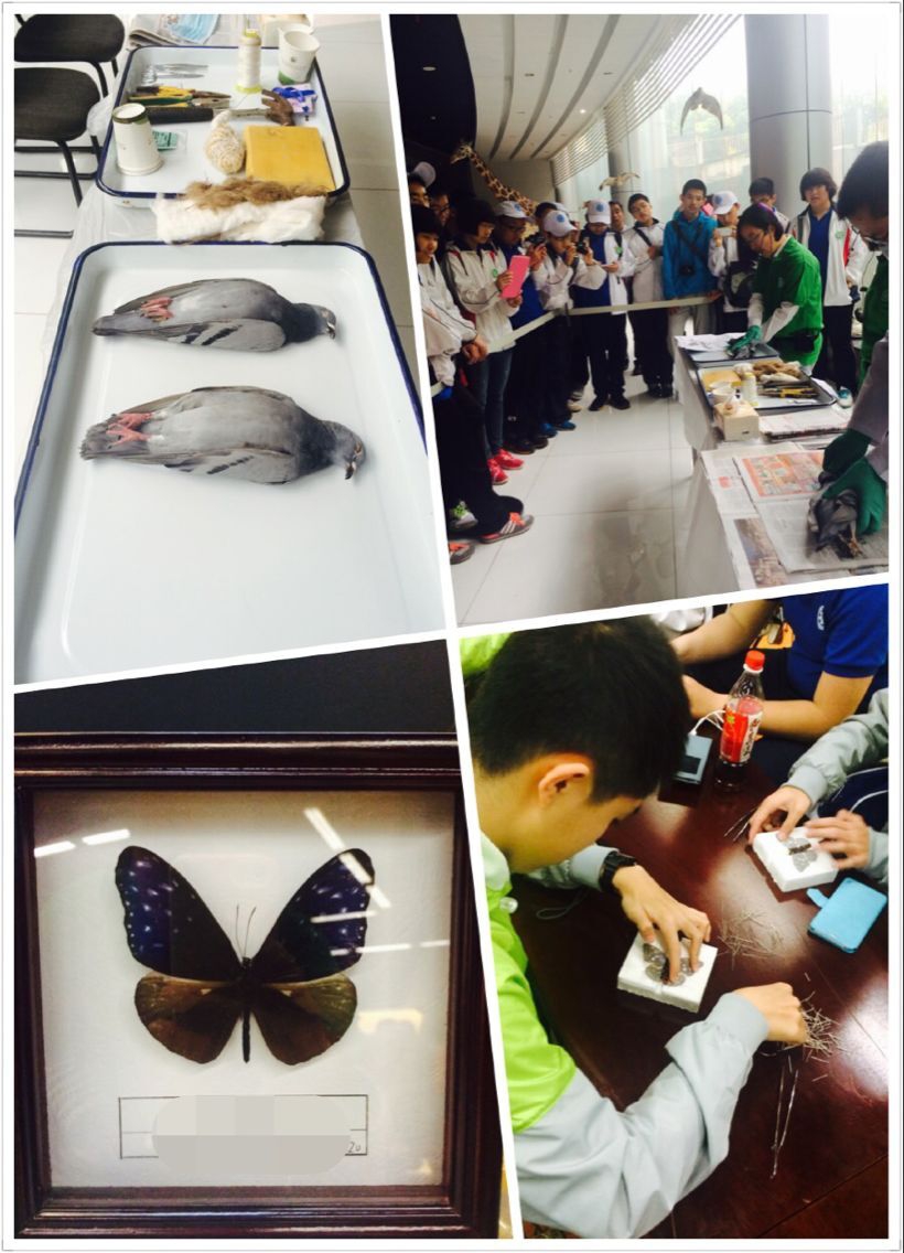 电子游戏app下载安装