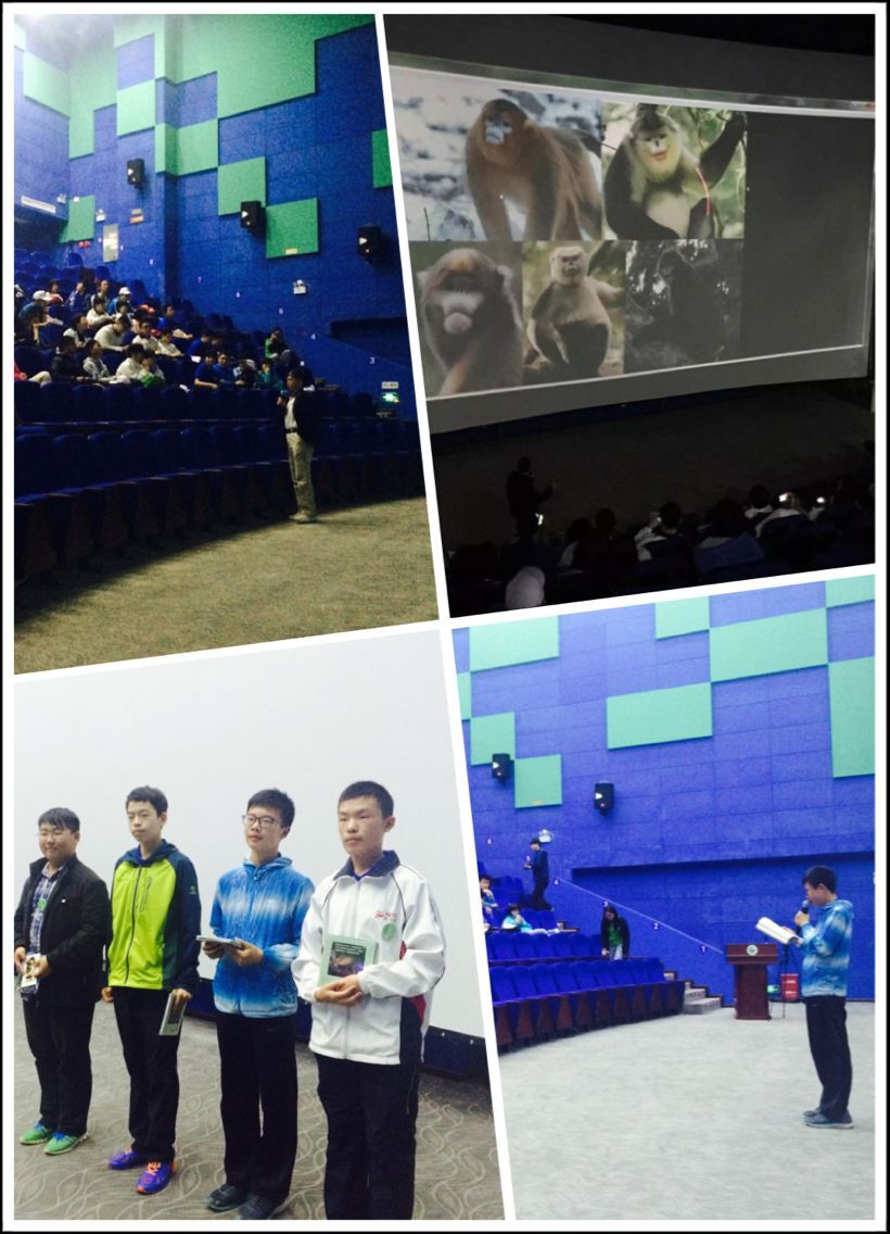 电子游戏app下载安装