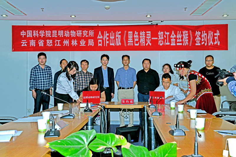 电子游戏app下载安装