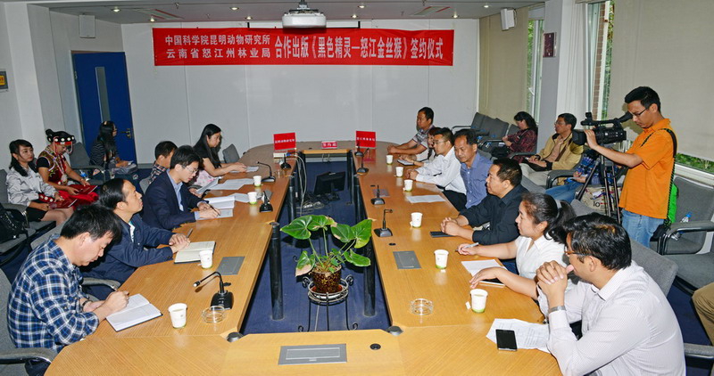 电子游戏app下载安装