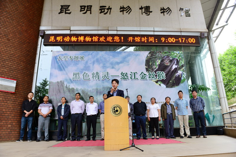 电子游戏app下载安装