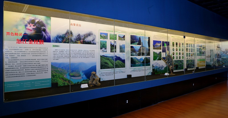 电子游戏app下载安装