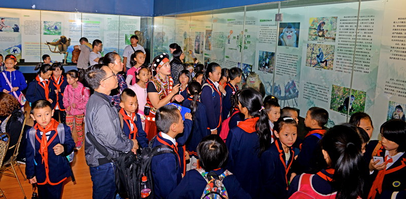 电子游戏app下载安装