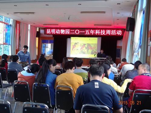 电子游戏app下载安装