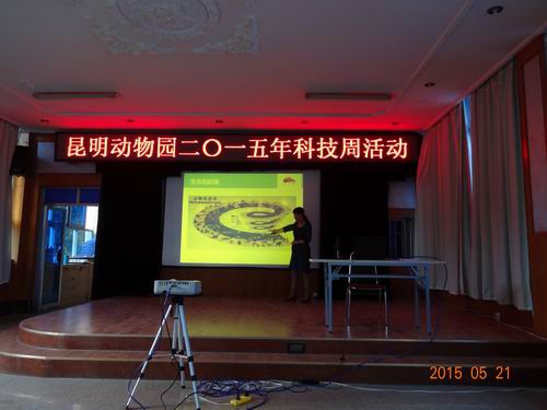 电子游戏app下载安装