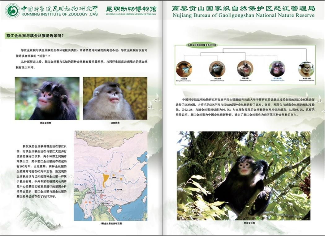 电子游戏app下载安装