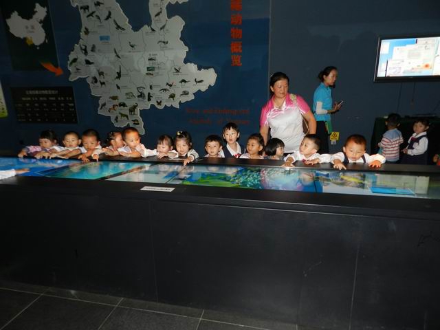 电子游戏app下载安装