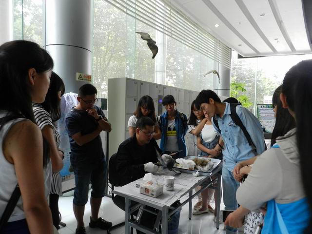 电子游戏app下载安装