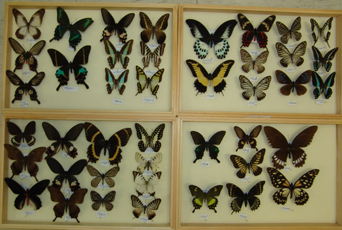 电子游戏app下载安装