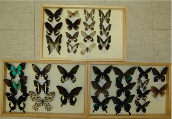 电子游戏app下载安装