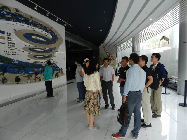 电子游戏app下载安装