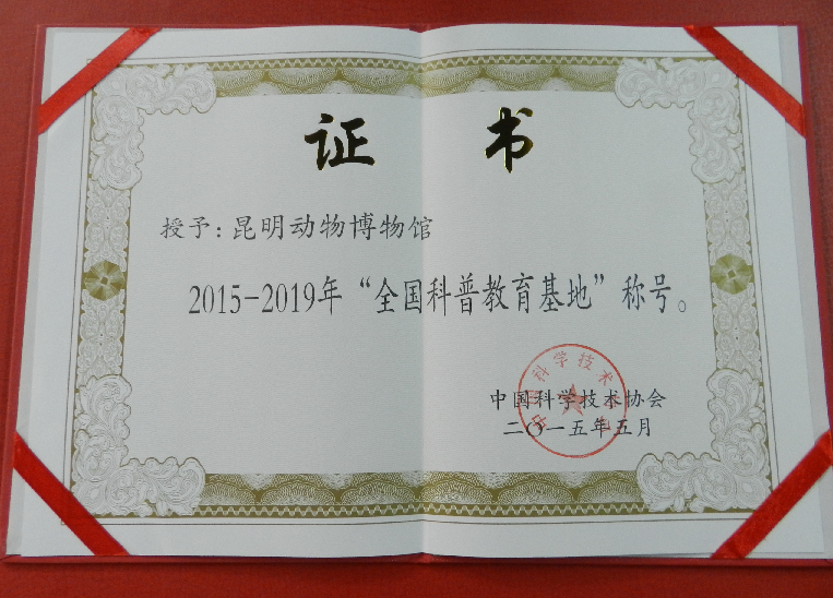 电子游戏app下载安装