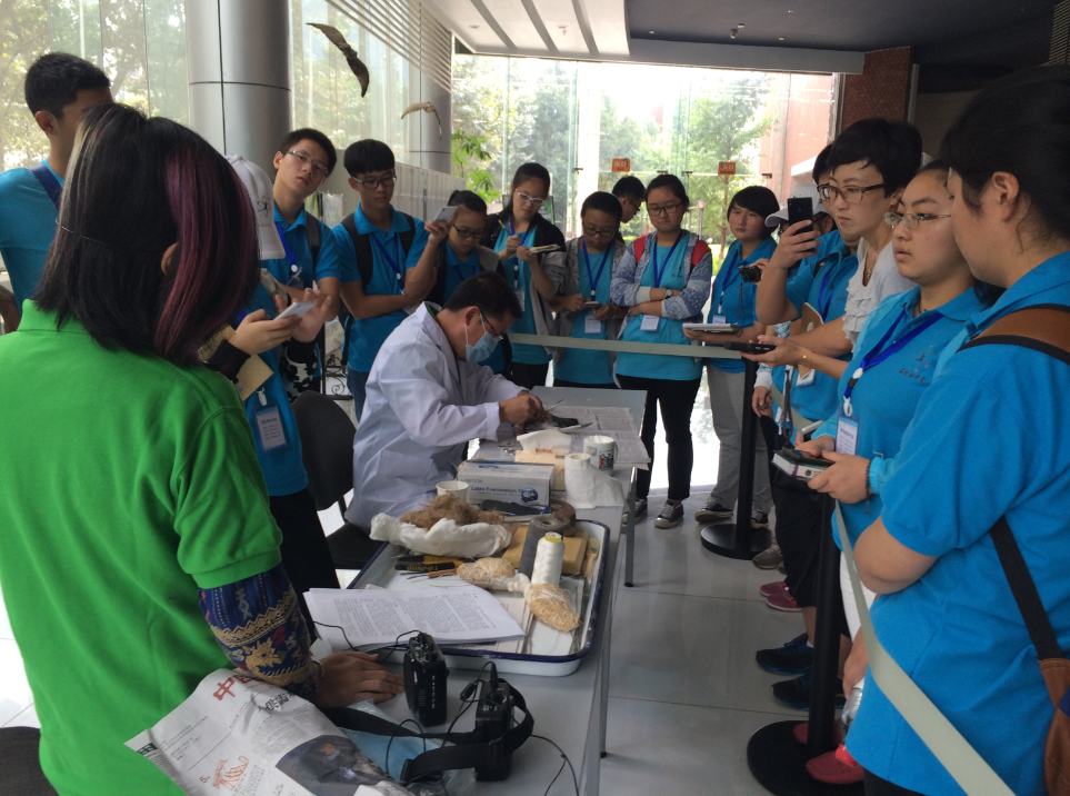 电子游戏app下载安装