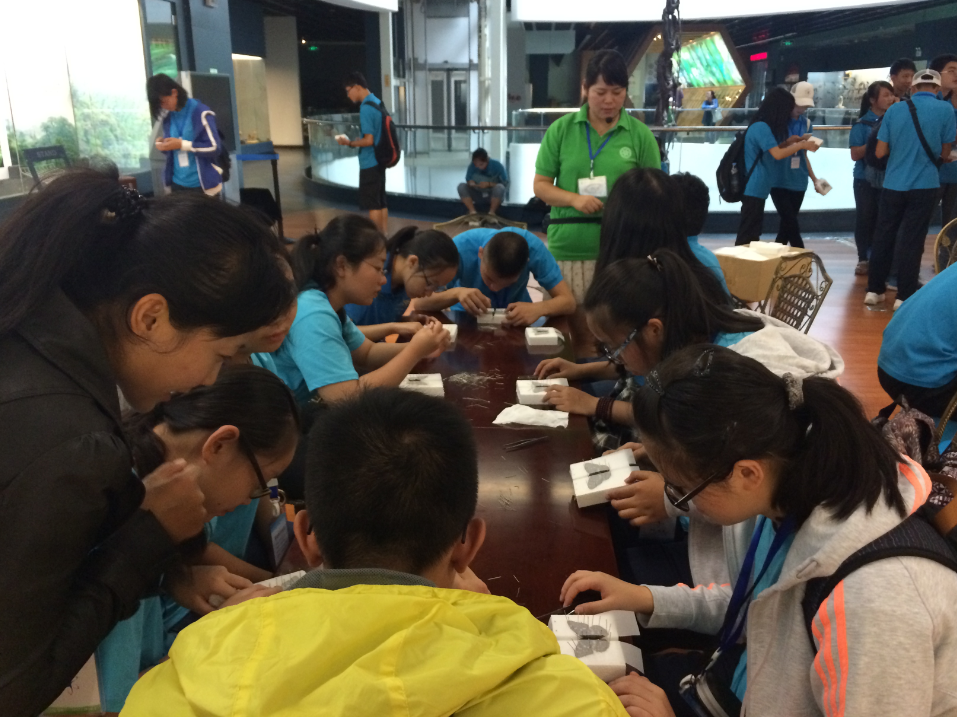 电子游戏app下载安装