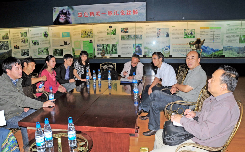 电子游戏app下载安装