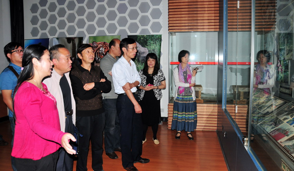 电子游戏app下载安装