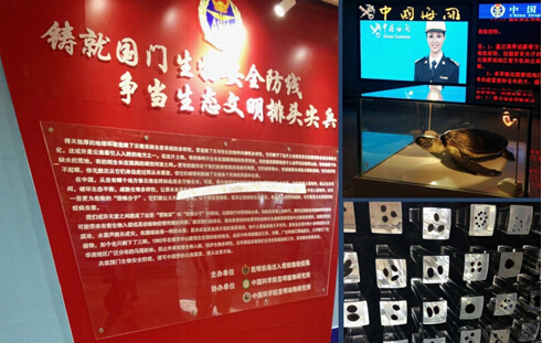 电子游戏app下载安装