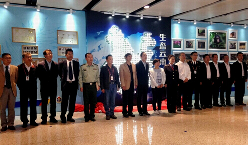 电子游戏app下载安装