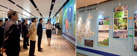 电子游戏app下载安装