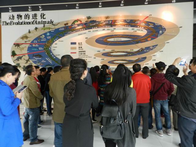 电子游戏app下载安装