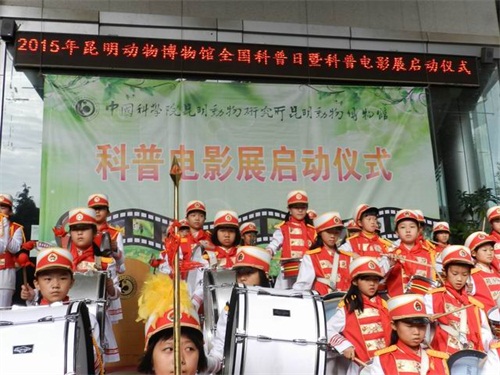 电子游戏app下载安装