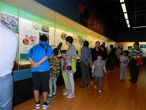 电子游戏app下载安装