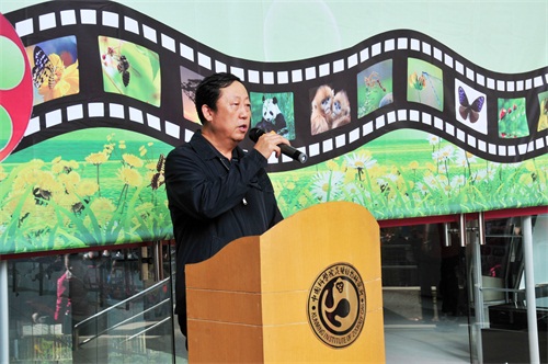 电子游戏app下载安装