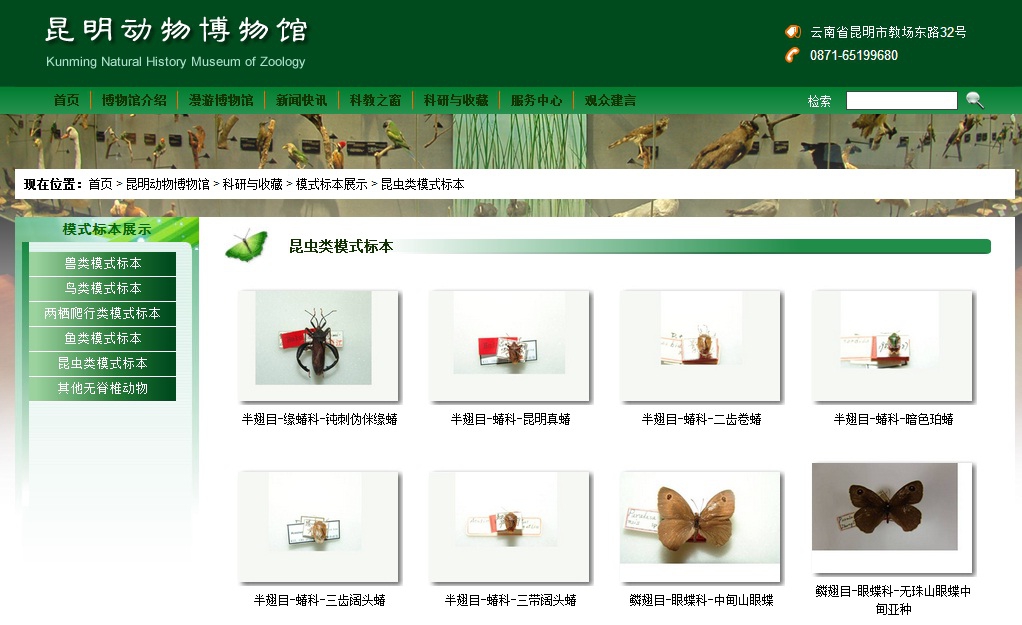 电子游戏app下载安装