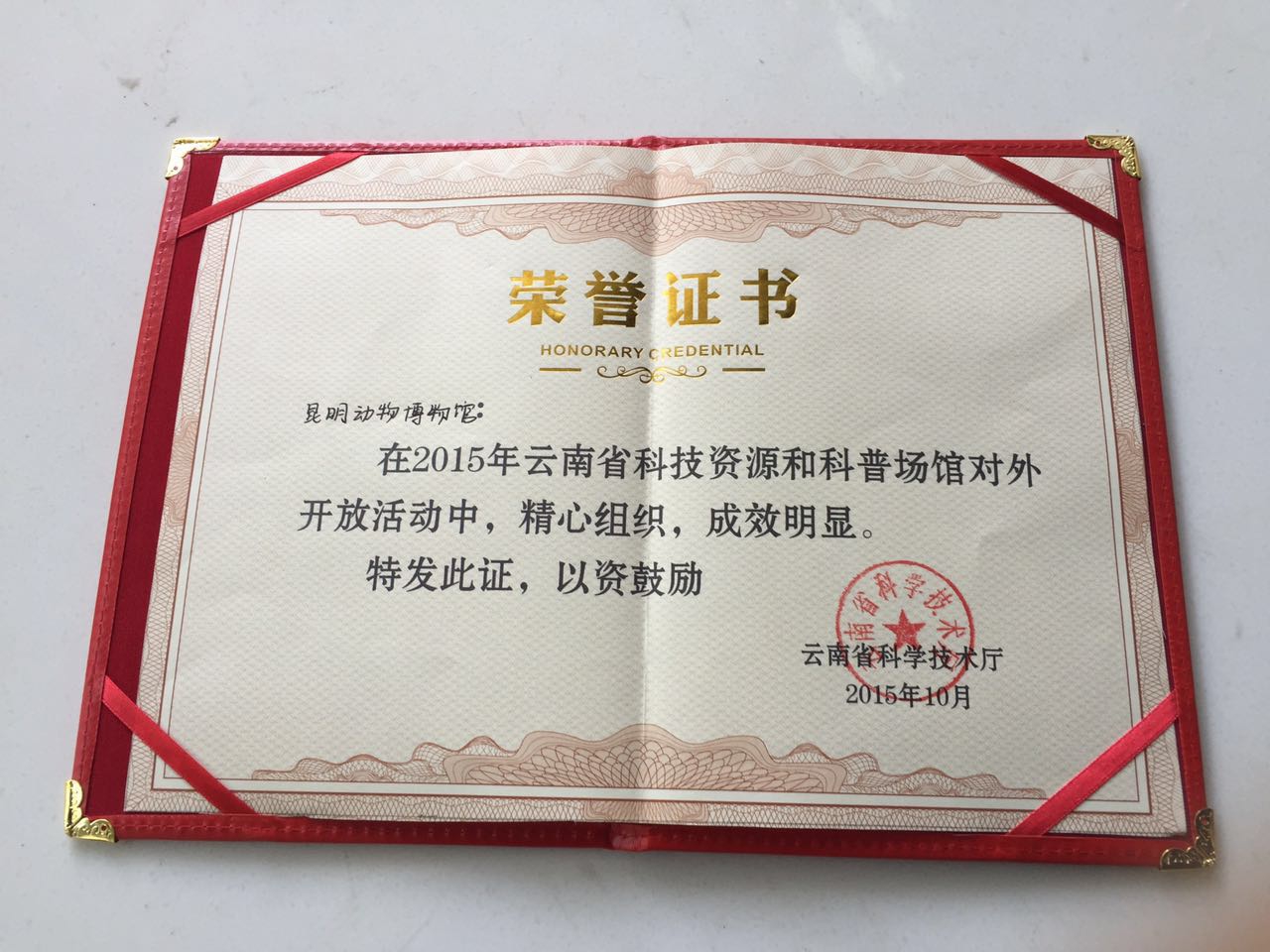 电子游戏app下载安装