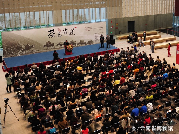 电子游戏app下载安装