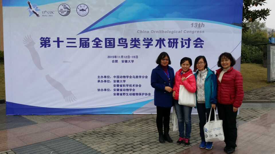 电子游戏app下载安装