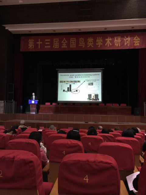 电子游戏app下载安装