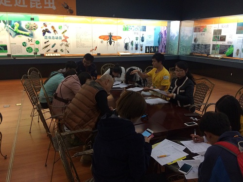 电子游戏app下载安装