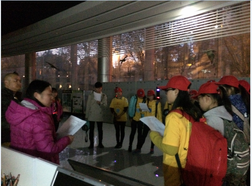 电子游戏app下载安装