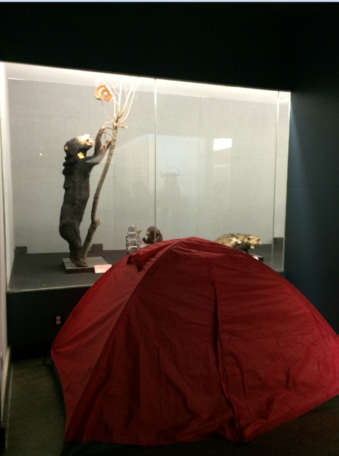 电子游戏app下载安装